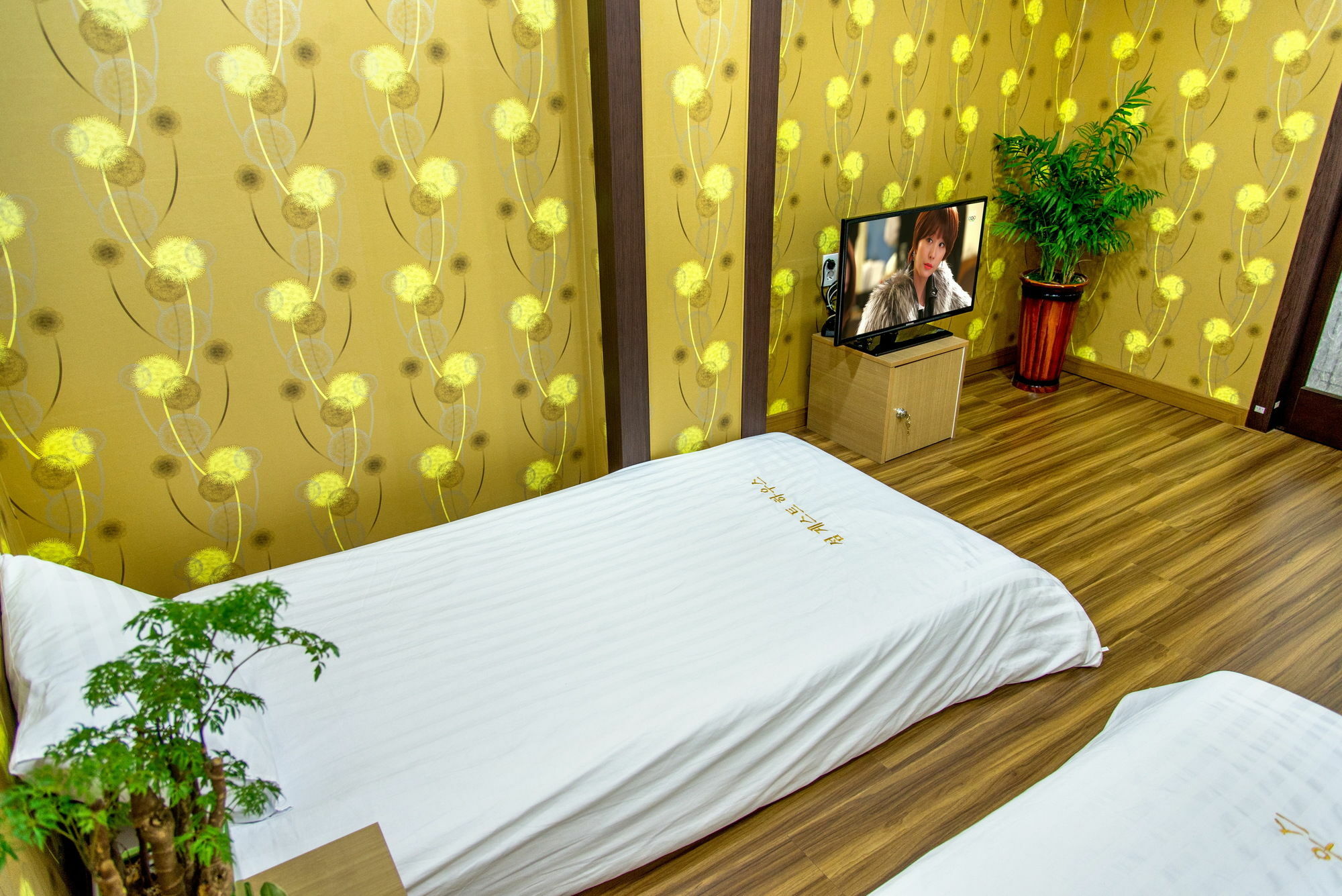 Seom Guesthouse Seogwipo-stad Buitenkant foto