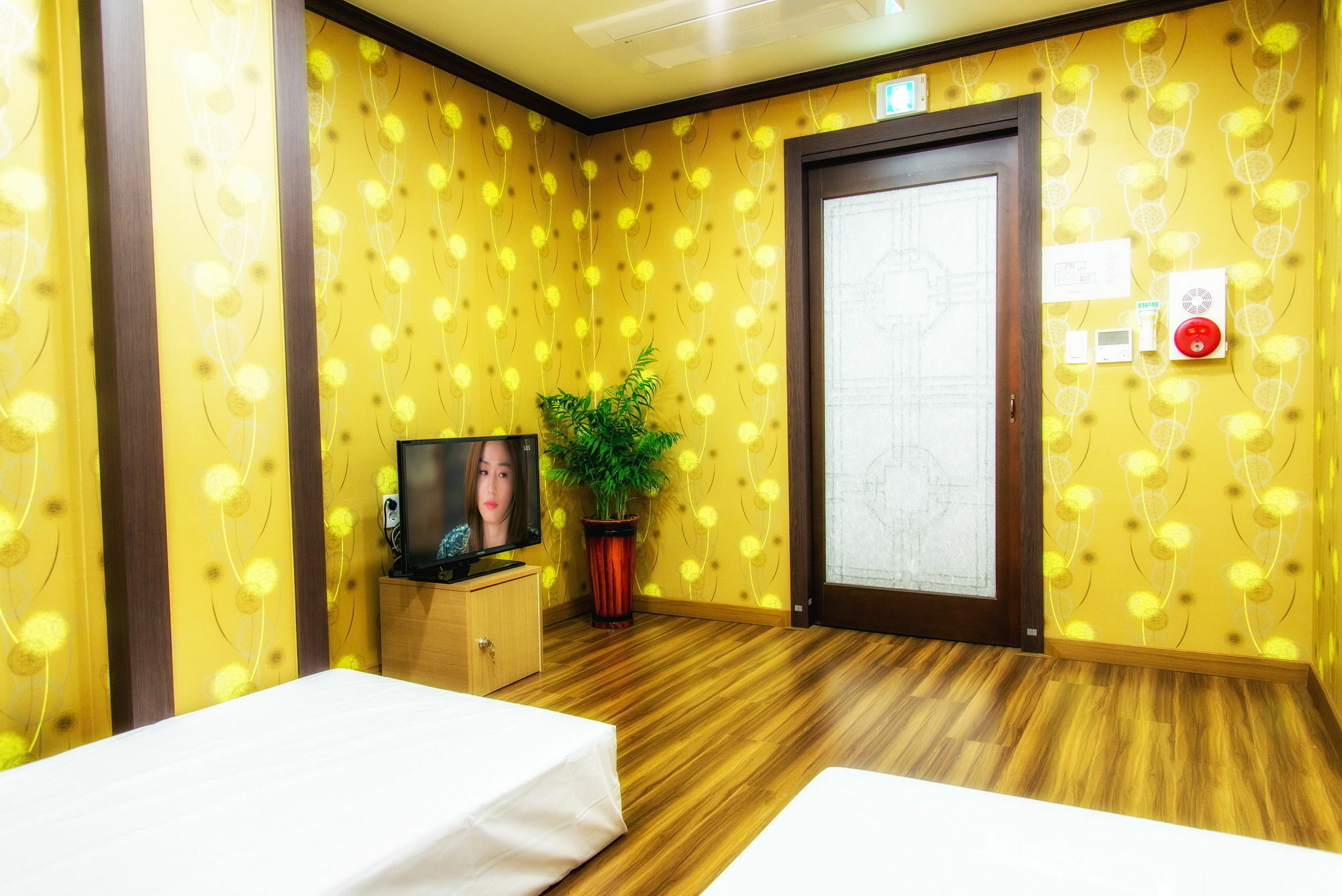 Seom Guesthouse Seogwipo-stad Buitenkant foto